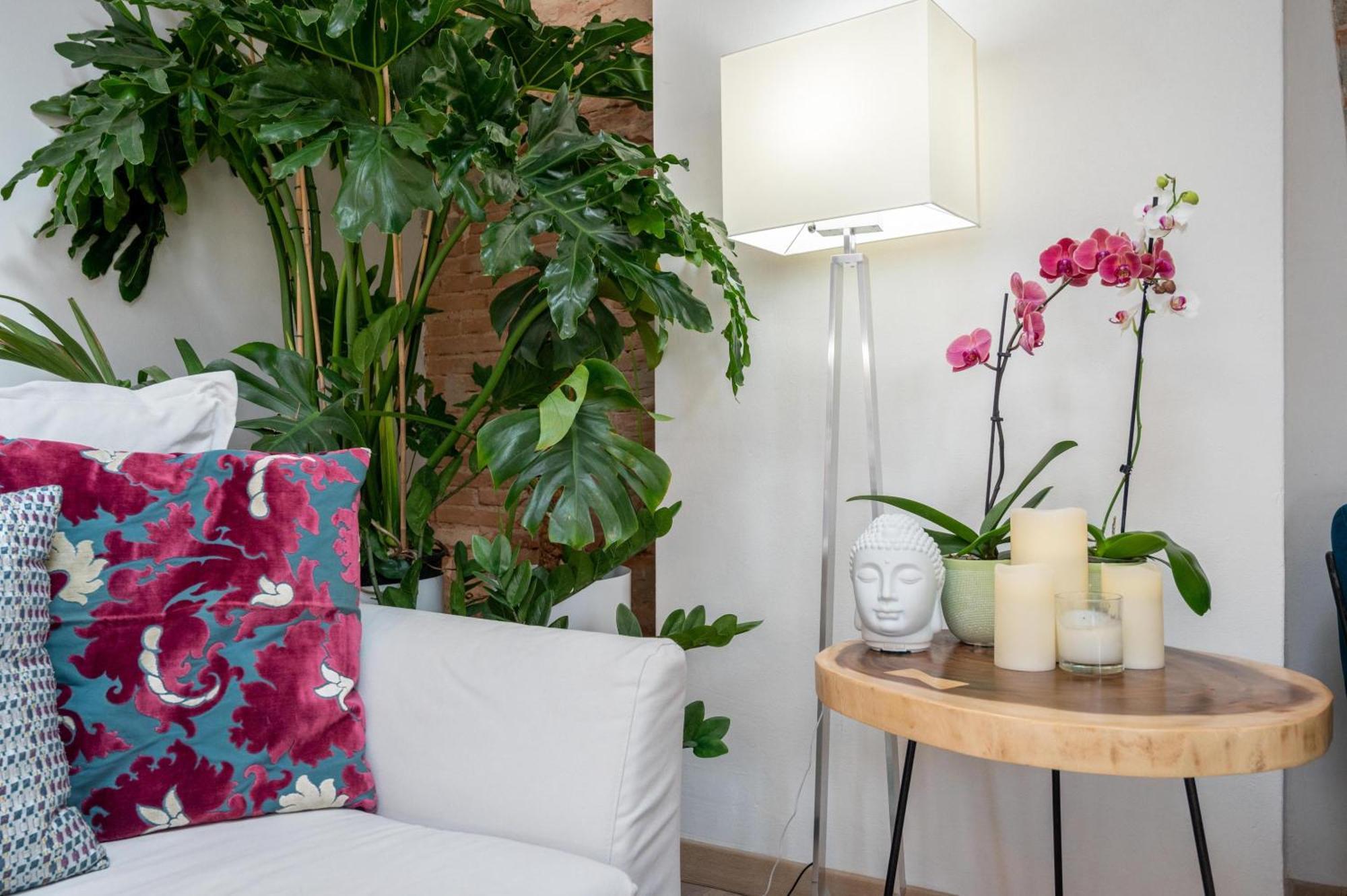 Design Loft Belle Donne Apartment *
